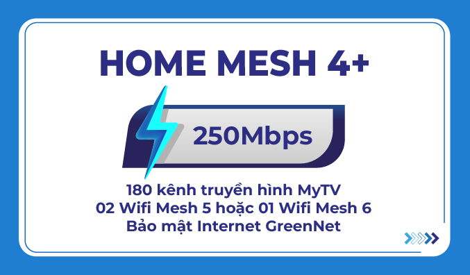 Home Mesh 4cong1